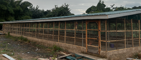 Completed poultry house structure at the Eggcellent Farms site in Matse, Ho, Volta Region